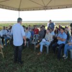 Ampa - Associação Mato-grossense dos Produtores de Algodão.