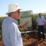 Ampa - Associação Mato-grossense dos Produtores de Algodão.