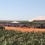 Ampa - Associação Mato-grossense dos Produtores de Algodão.