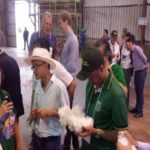 Ampa - Associação Mato-grossense dos Produtores de Algodão.