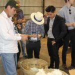 Ampa - Associação Mato-grossense dos Produtores de Algodão.