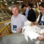 Ampa - Associação Mato-grossense dos Produtores de Algodão.