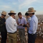 Ampa - Associação Mato-grossense dos Produtores de Algodão.