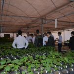 Ampa - Associação Mato-grossense dos Produtores de Algodão.