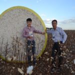 Ampa - Associação Mato-grossense dos Produtores de Algodão.