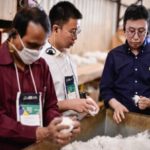 Ampa - Associação Mato-grossense dos Produtores de Algodão.