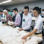 Ampa - Associação Mato-grossense dos Produtores de Algodão.