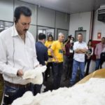 Ampa - Associação Mato-grossense dos Produtores de Algodão.