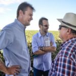 Ampa - Associação Mato-grossense dos Produtores de Algodão.