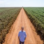 Ampa - Associação Mato-grossense dos Produtores de Algodão.