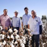 Ampa - Associação Mato-grossense dos Produtores de Algodão.