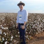 Ampa - Associação Mato-grossense dos Produtores de Algodão.