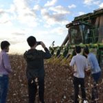 Ampa - Associação Mato-grossense dos Produtores de Algodão.