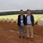 Ampa - Associação Mato-grossense dos Produtores de Algodão.