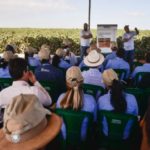 Ampa - Associação Mato-grossense dos Produtores de Algodão.