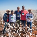 Ampa - Associação Mato-grossense dos Produtores de Algodão.