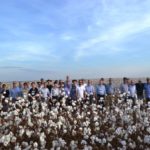 Ampa - Associação Mato-grossense dos Produtores de Algodão.