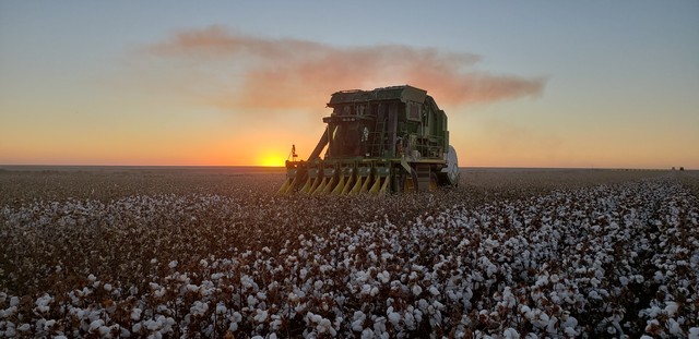 Ampa - Associação Mato-grossense dos Produtores de Algodão.