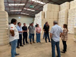 Ampa - Associação Mato-grossense dos Produtores de Algodão.